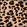 Painted Leopard