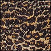 Neutral Leopard