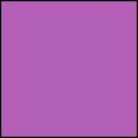 Wisteria Purple